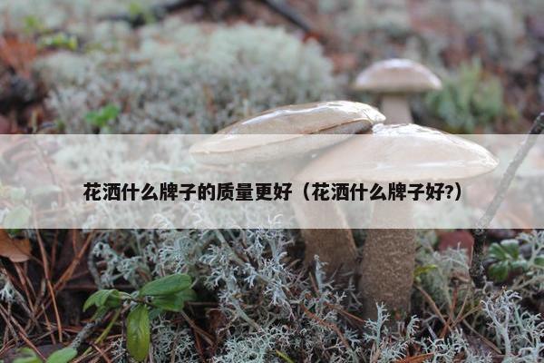 花洒什么牌子的质量更好（花洒什么牌子好?）