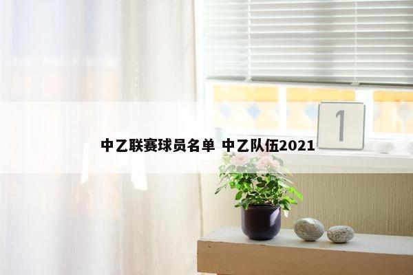 中乙联赛球员名单 中乙队伍2021