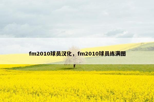 fm2010球员汉化，fm2010球员练满图