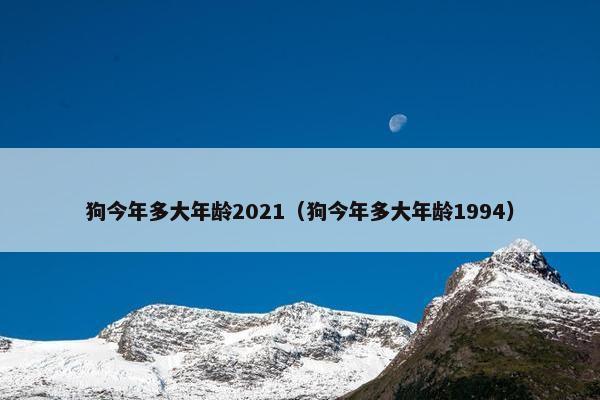 狗今年多大年龄2021（狗今年多大年龄1994）