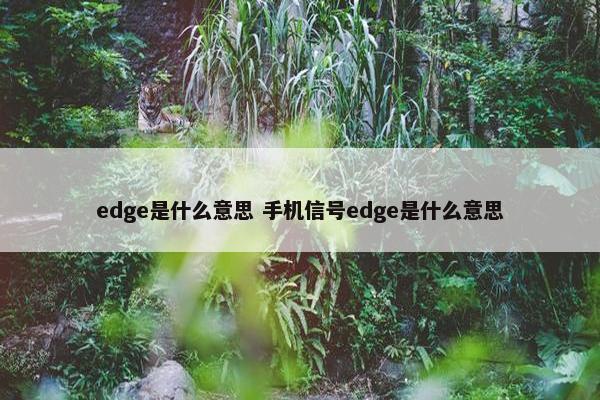 edge是什么意思 手机信号edge是什么意思