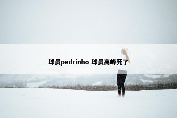 球员pedrinho 球员高峰死了