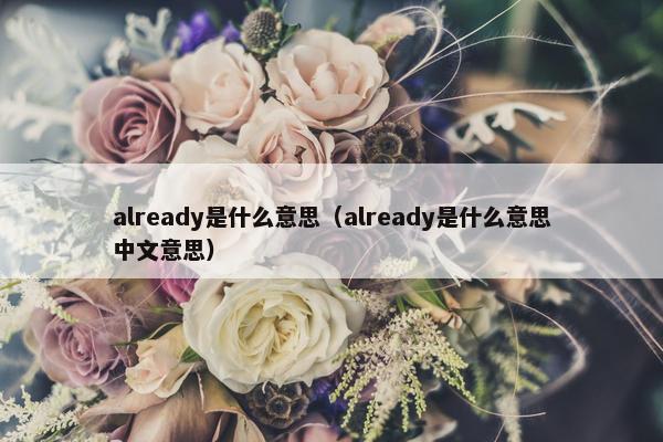 already是什么意思（already是什么意思中文意思）