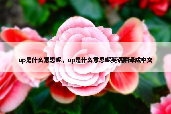 up是什么意思呢，up是什么意思呢英语翻译成中文