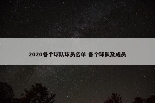 2020各个球队球员名单 各个球队及成员