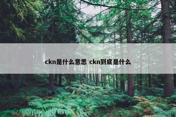 ckn是什么意思 ckn到底是什么