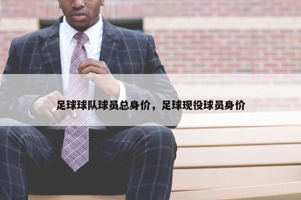 足球球队球员总身价，足球现役球员身价