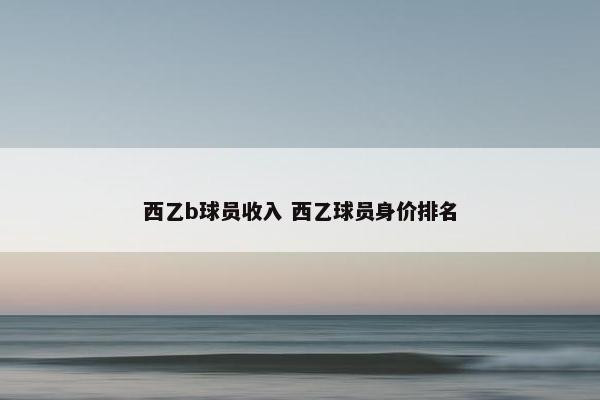 西乙b球员收入 西乙球员身价排名