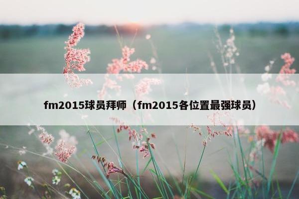 fm2015球员拜师（fm2015各位置最强球员）