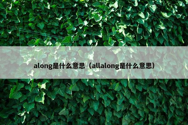 along是什么意思（allalong是什么意思）