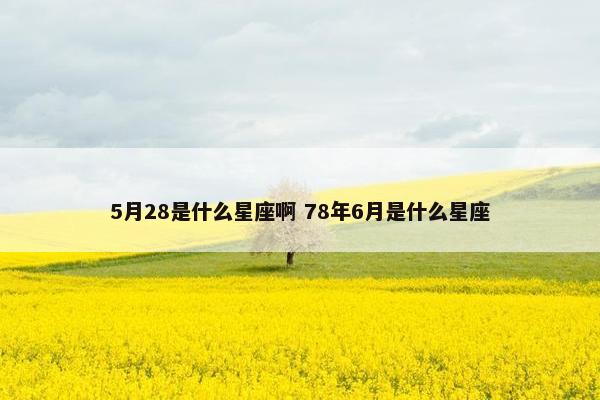 5月28是什么星座啊 78年6月是什么星座