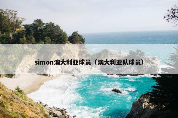 simon澳大利亚球员（澳大利亚队球员）