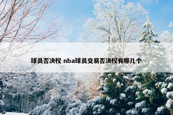 球员否决权 nba球员交易否决权有哪几个