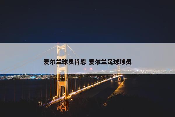 爱尔兰球员肖恩 爱尔兰足球球员