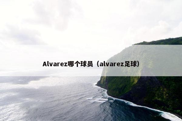 Alvarez哪个球员（alvarez足球）