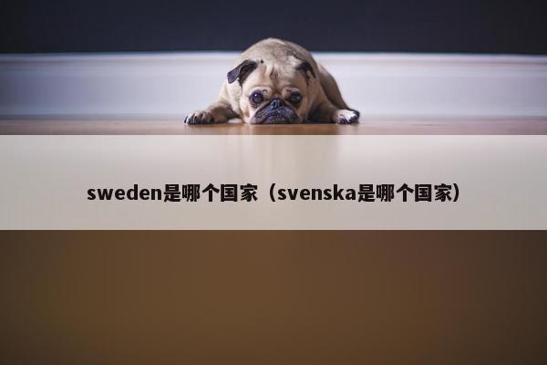 sweden是哪个国家（svenska是哪个国家）