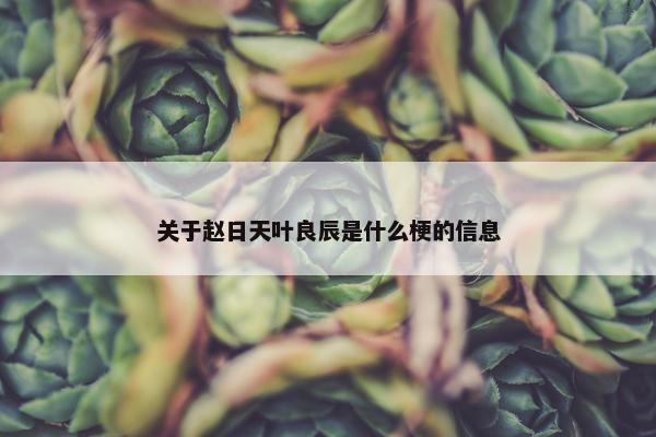 关于赵日天叶良辰是什么梗的信息