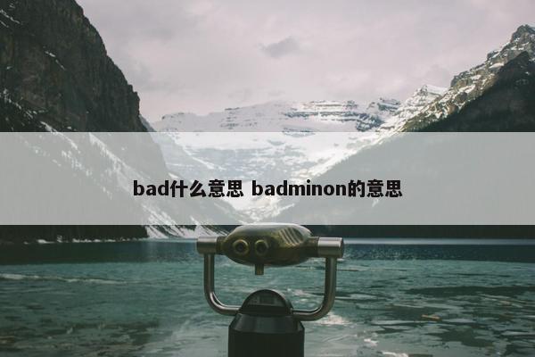 bad什么意思 badminon的意思