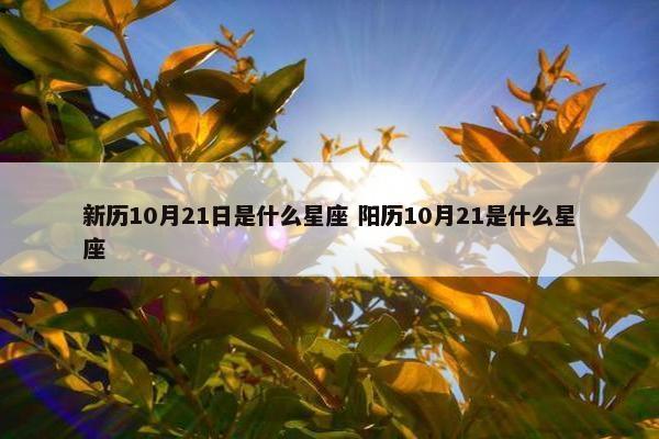 新历10月21日是什么星座 阳历10月21是什么星座