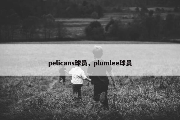 pelicans球员，plumlee球员