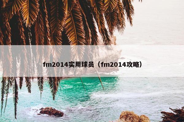 fm2014实用球员（fm2014攻略）