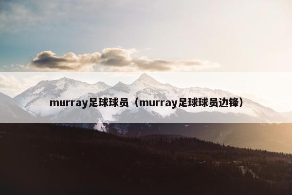 murray足球球员（murray足球球员边锋）