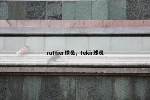 ruffier球员，fekir球员