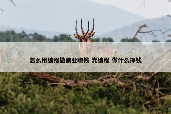 怎么用编程做副业赚钱 靠编程 做什么挣钱