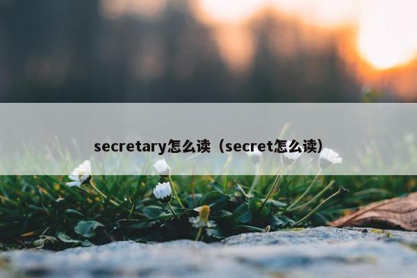 secretary怎么读（secret怎么读）