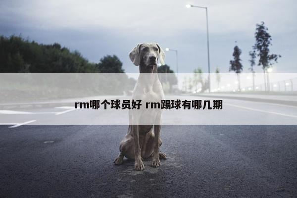 rm哪个球员好 rm踢球有哪几期