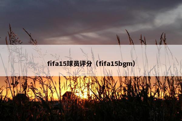 fifa15球员评分（fifa15bgm）
