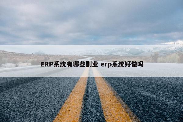 ERP系统有哪些副业 erp系统好做吗