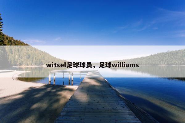 witsel足球球员，足球williams