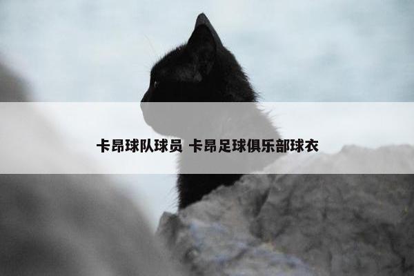 卡昂球队球员 卡昂足球俱乐部球衣