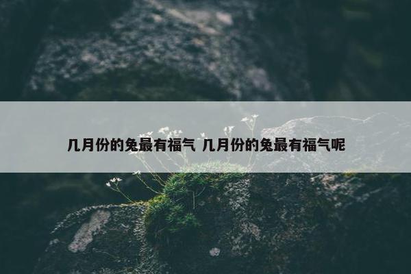 几月份的兔最有福气 几月份的兔最有福气呢