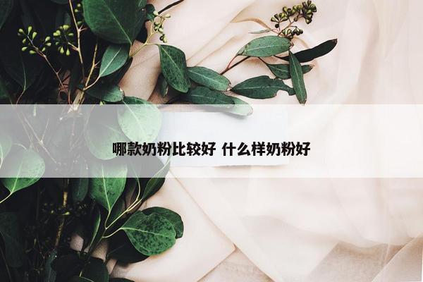 哪款奶粉比较好 什么样奶粉好