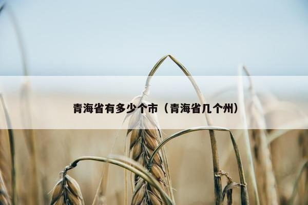 青海省有多少个市（青海省几个州）