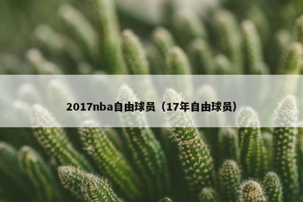 2017nba自由球员（17年自由球员）