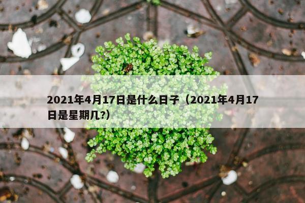 2021年4月17日是什么日子（2021年4月17日是星期几?）