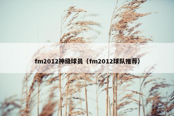 fm2012神级球员（fm2012球队推荐）