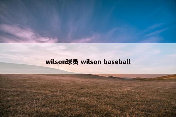 wilson球员 wilson baseball