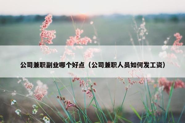 公司兼职副业哪个好点（公司兼职人员如何发工资）