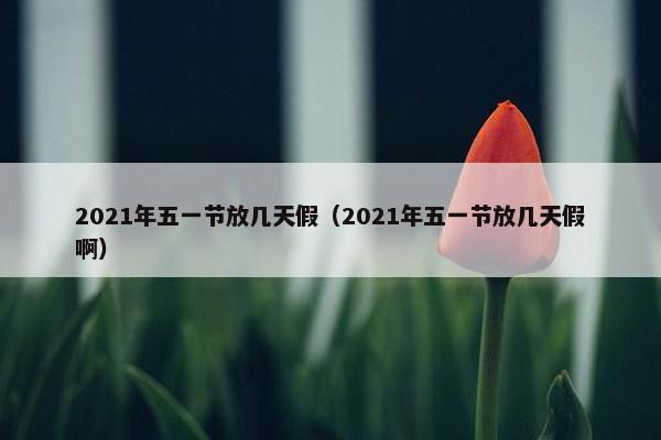 2021年五一节放几天假（2021年五一节放几天假啊）