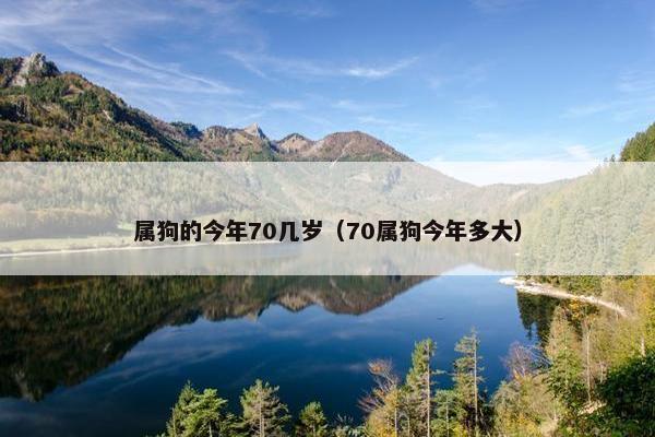 属狗的今年70几岁（70属狗今年多大）