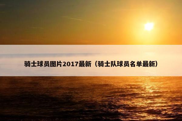 骑士球员图片2017最新（骑士队球员名单最新）