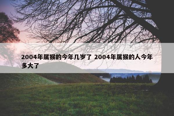 2004年属猴的今年几岁了 2004年属猴的人今年多大了