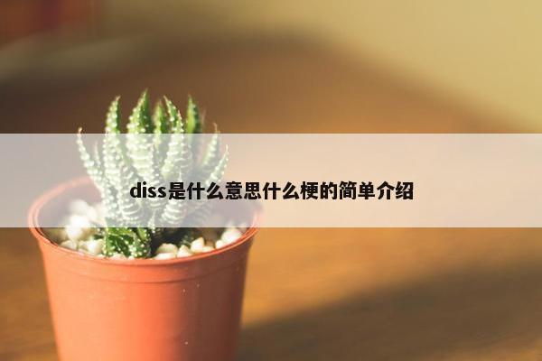 diss是什么意思什么梗的简单介绍