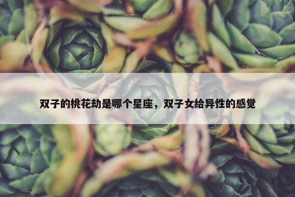 双子的桃花劫是哪个星座，双子女给异性的感觉