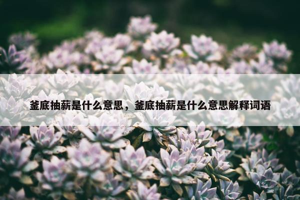 釜底抽薪是什么意思，釜底抽薪是什么意思解释词语