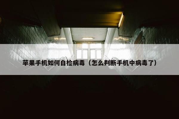 苹果手机如何自检病毒（怎么判断手机中病毒了）